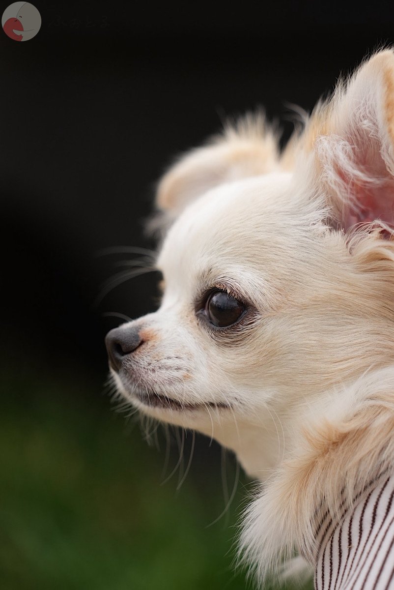 TK-Styleのポートフォリオ5