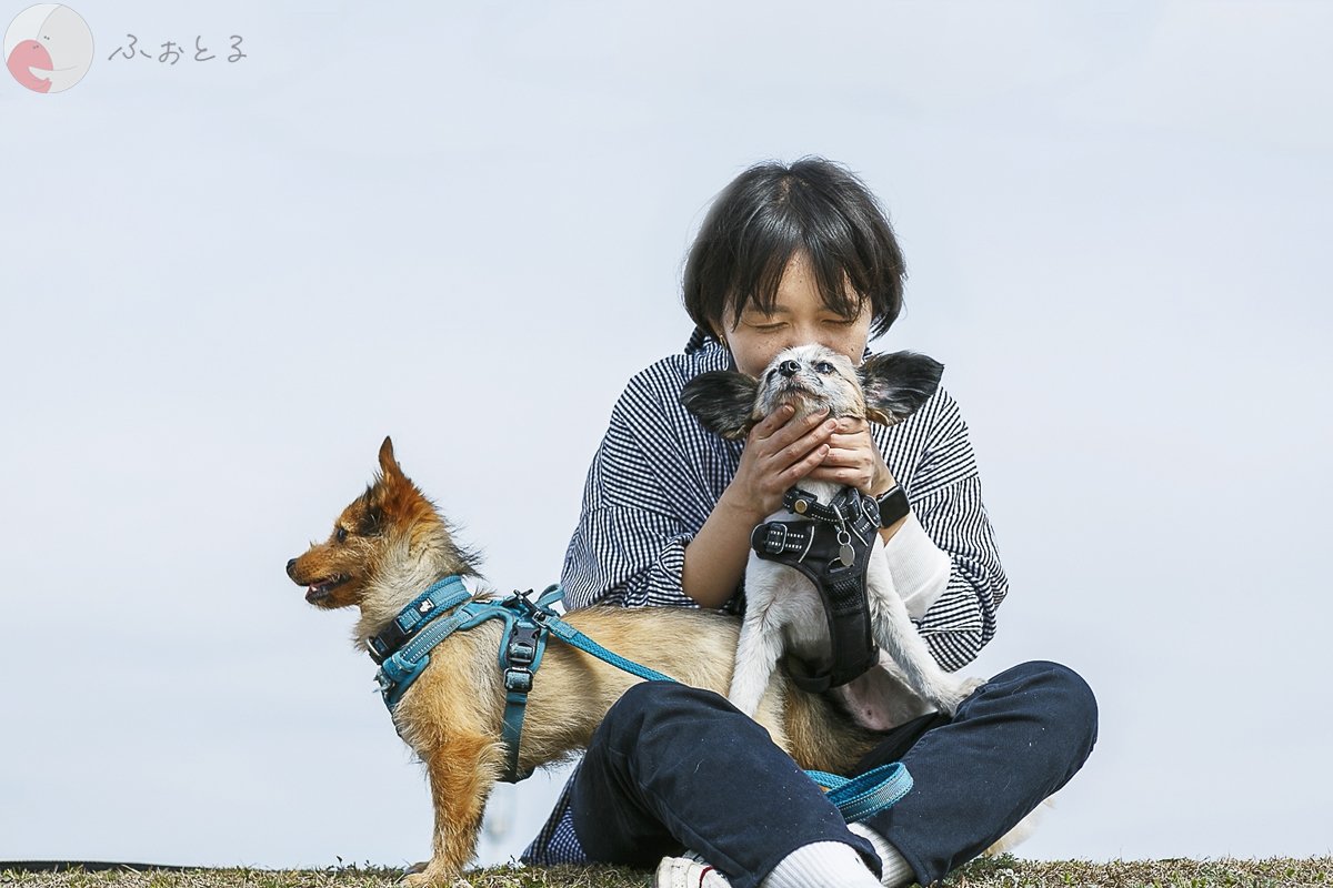 明東 佐知　のポートフォリオ1