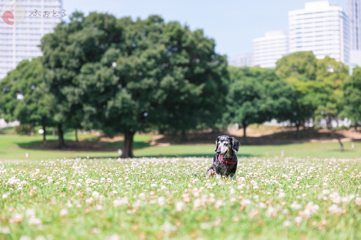 奥田大貴のポートフォリオ6