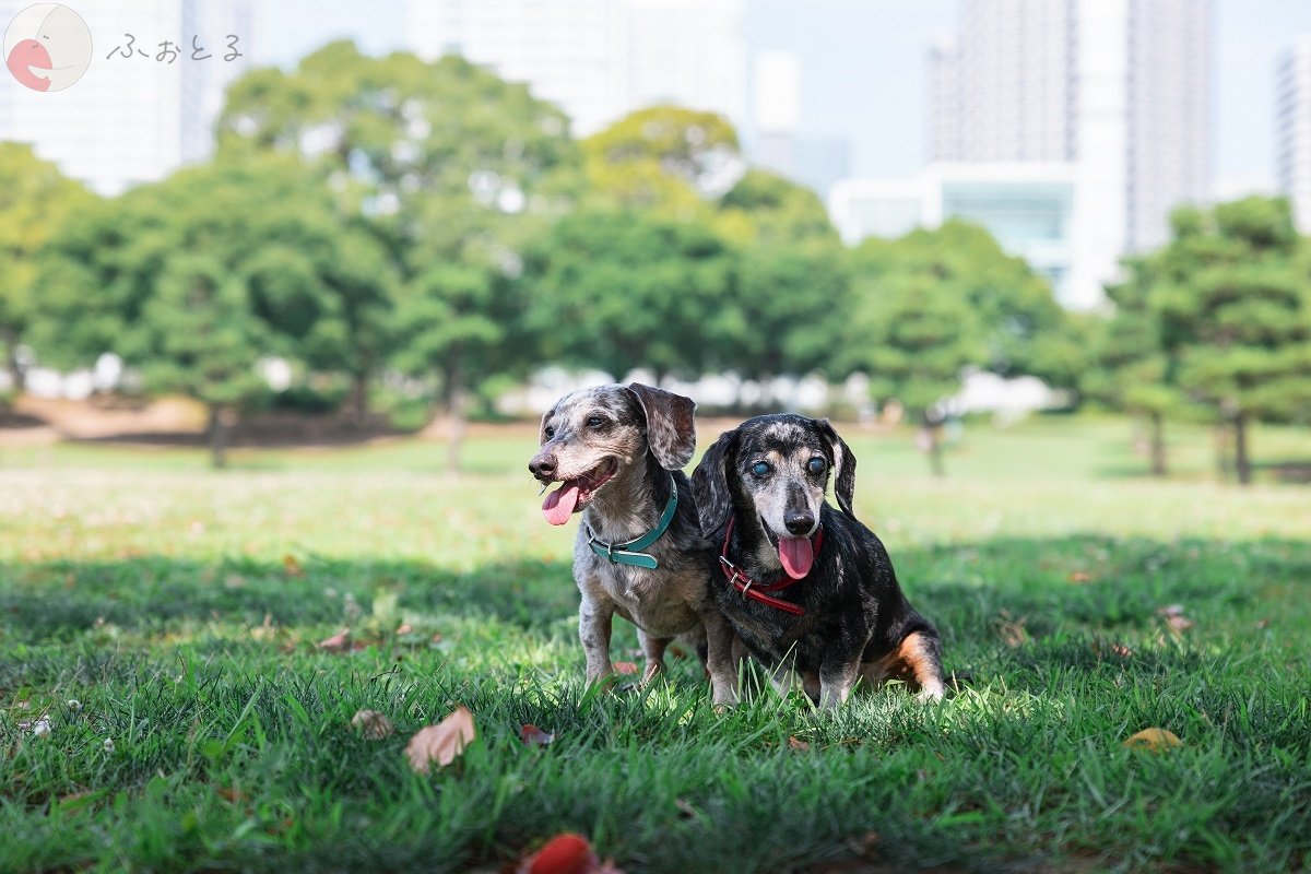 奥田大貴のポートフォリオ8