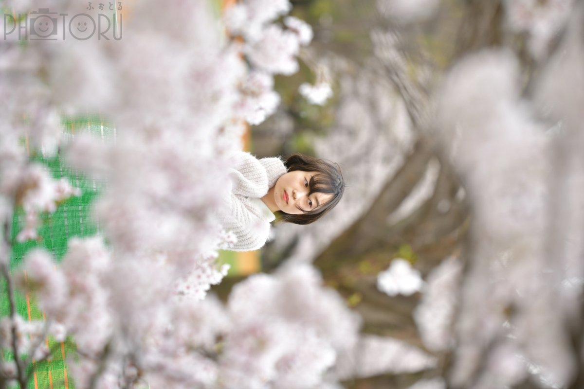 akiのポートフォリオ1