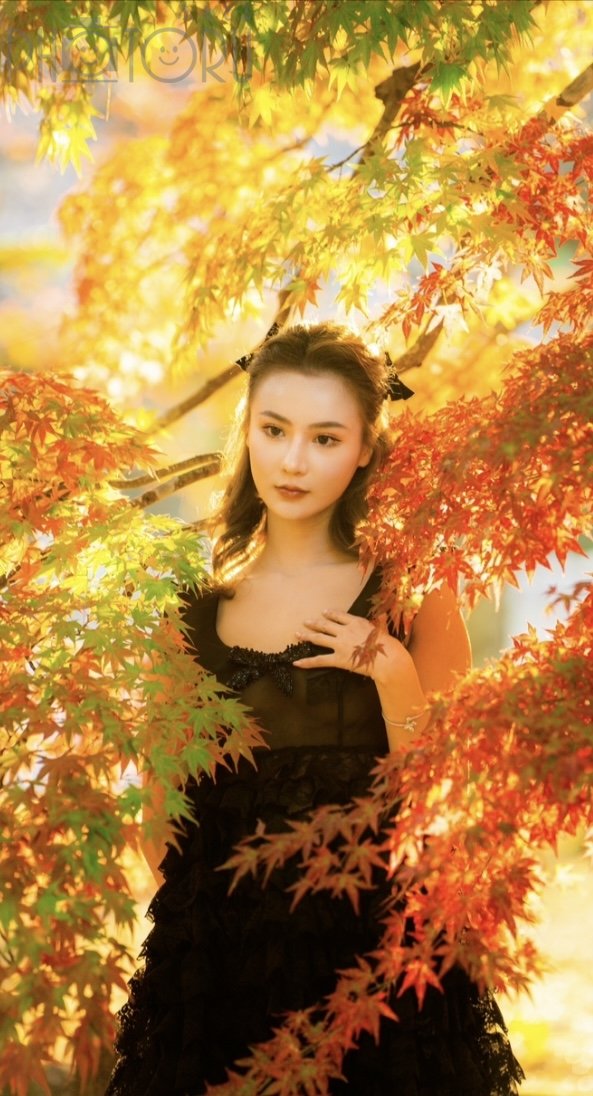 Taiyo Inukaiのポートフォリオ1