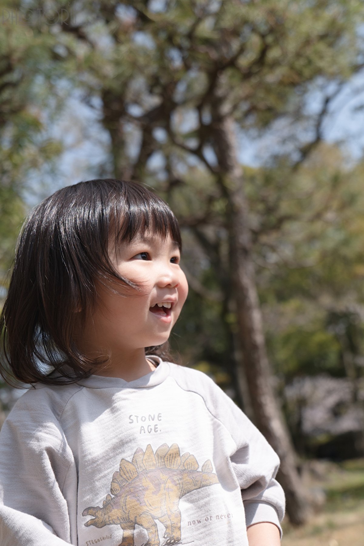 高山亮介のポートフォリオ3