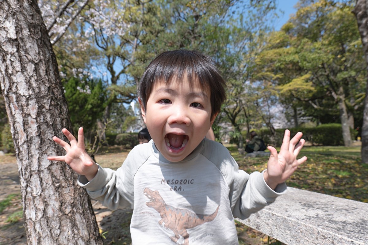 高山亮介のポートフォリオ4