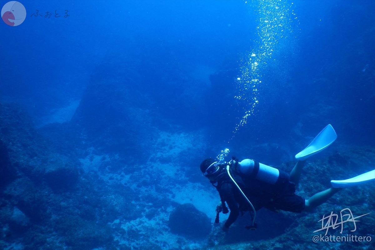 如月一のポートフォリオ0