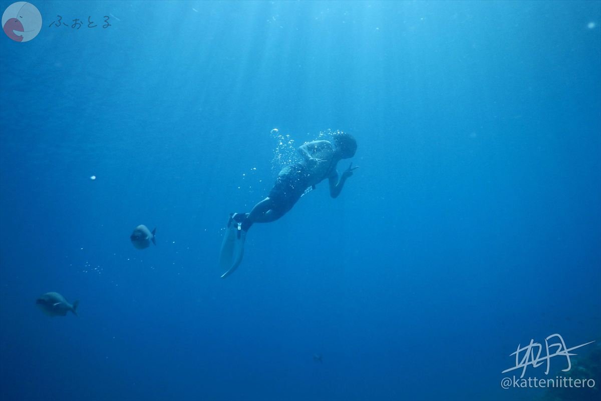 如月一のポートフォリオ2