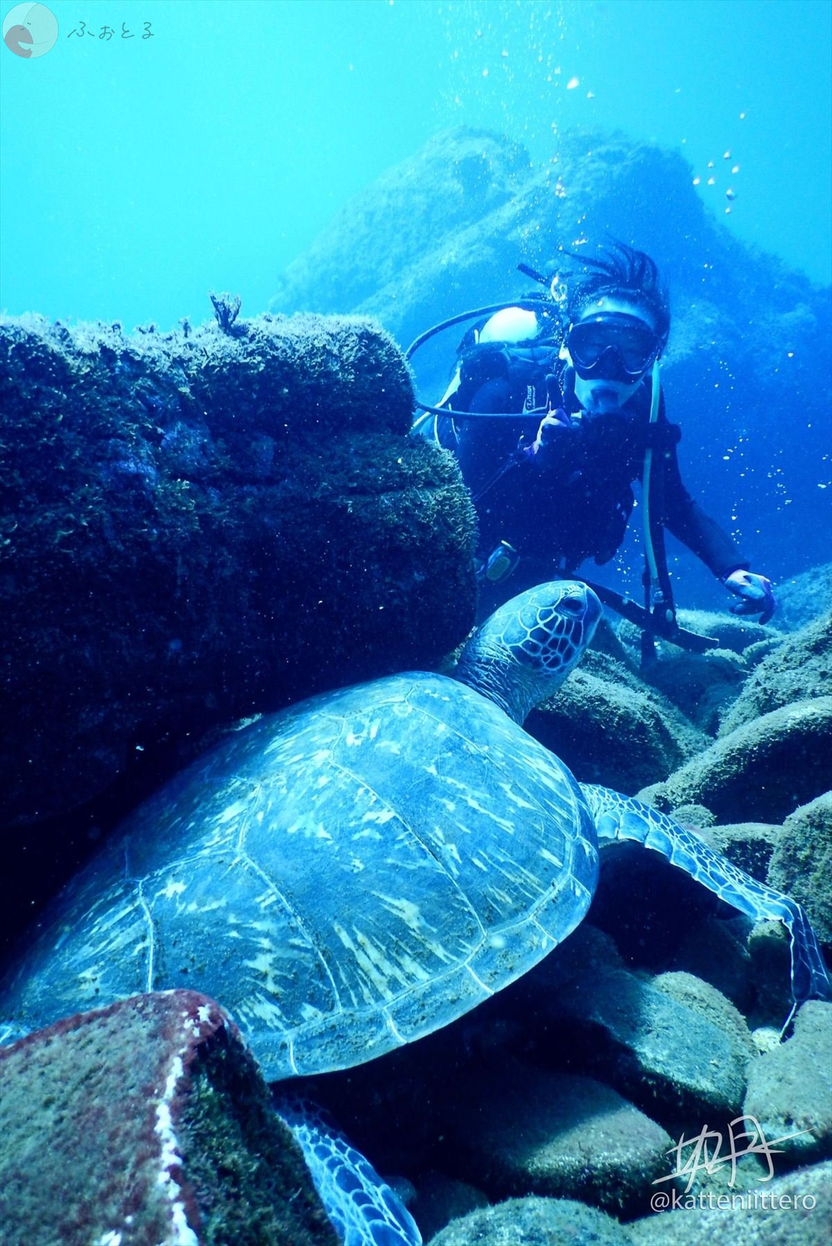 如月一のポートフォリオ3