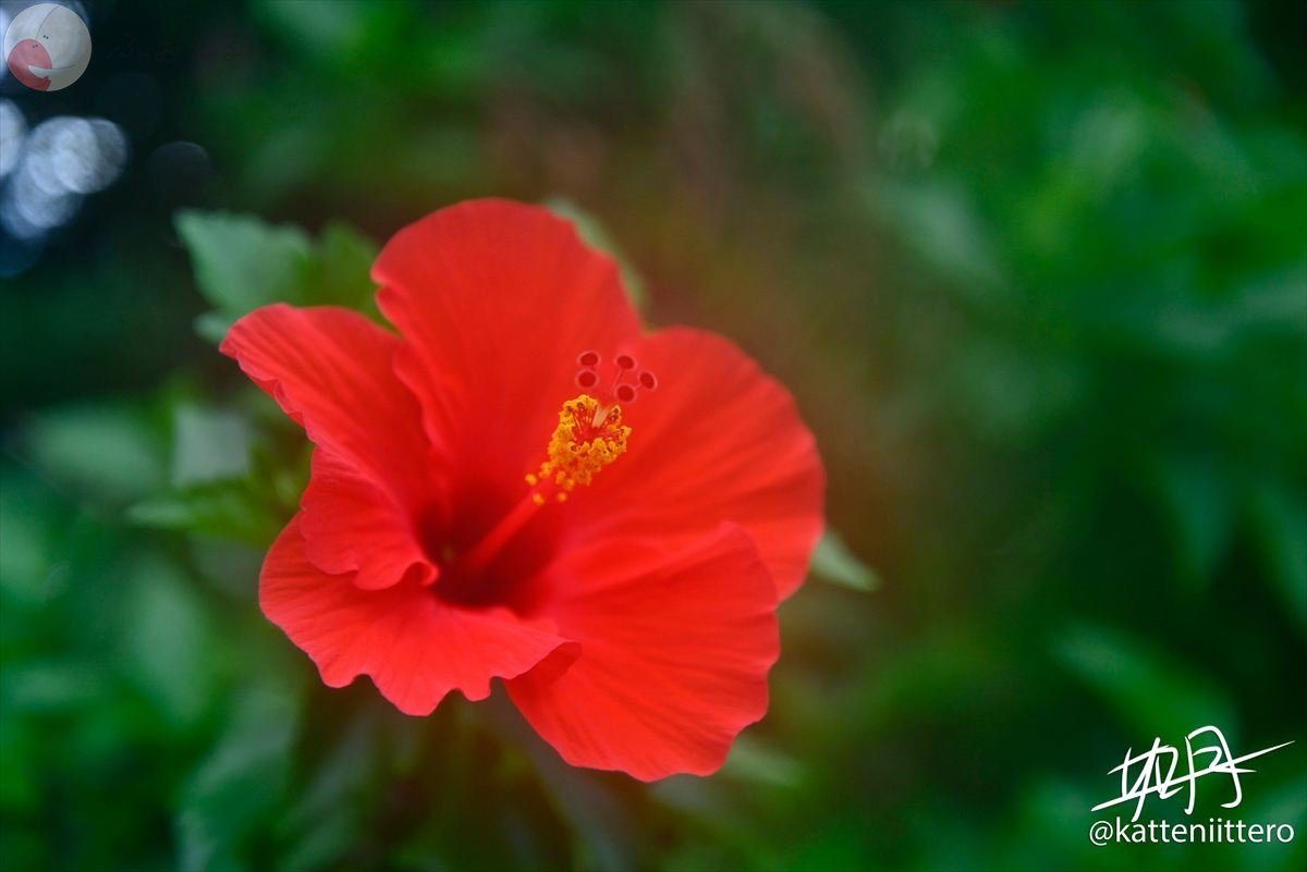 如月一のポートフォリオ7