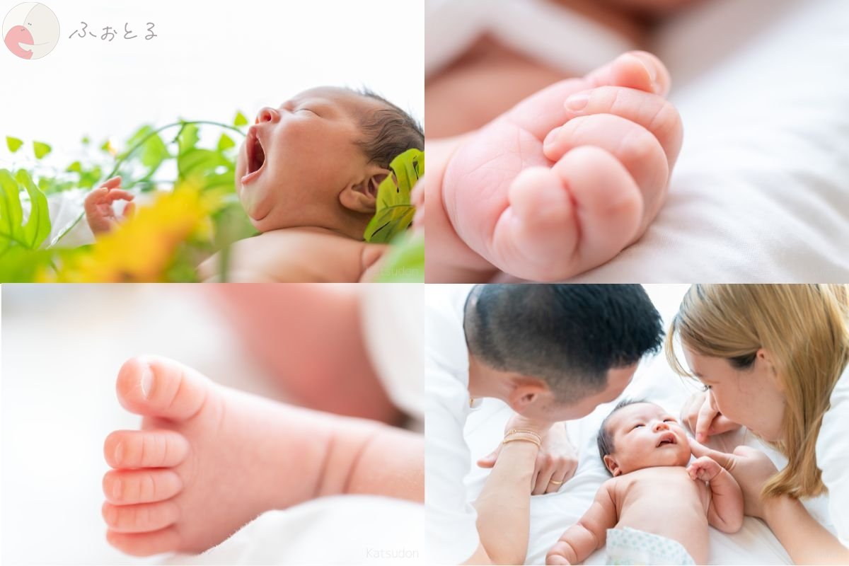 かつどんのポートフォリオ0