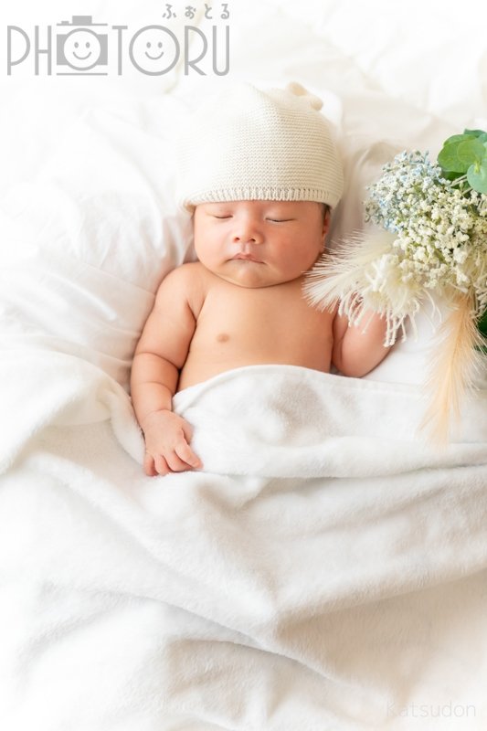 かつどんのポートフォリオ3