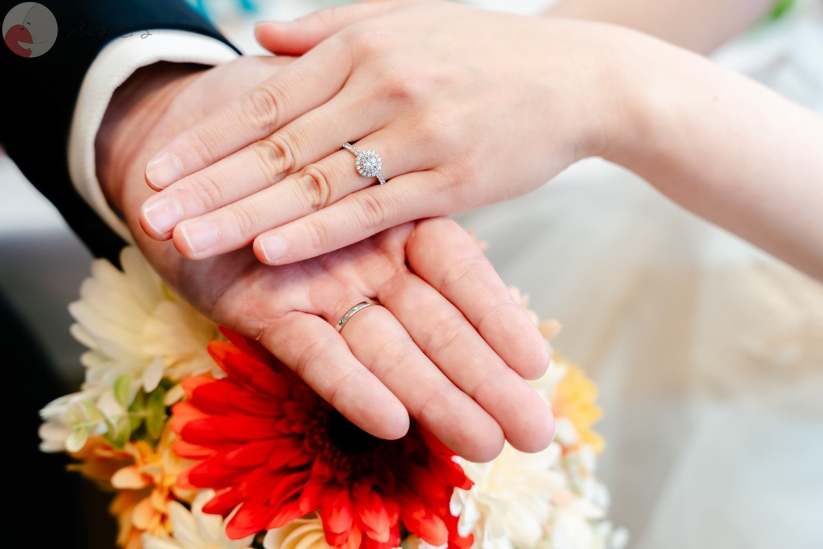 かつどんのポートフォリオ6