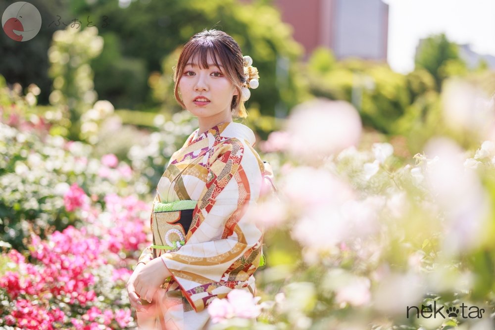 猫田晃広(Nekota)のポートフォリオ3