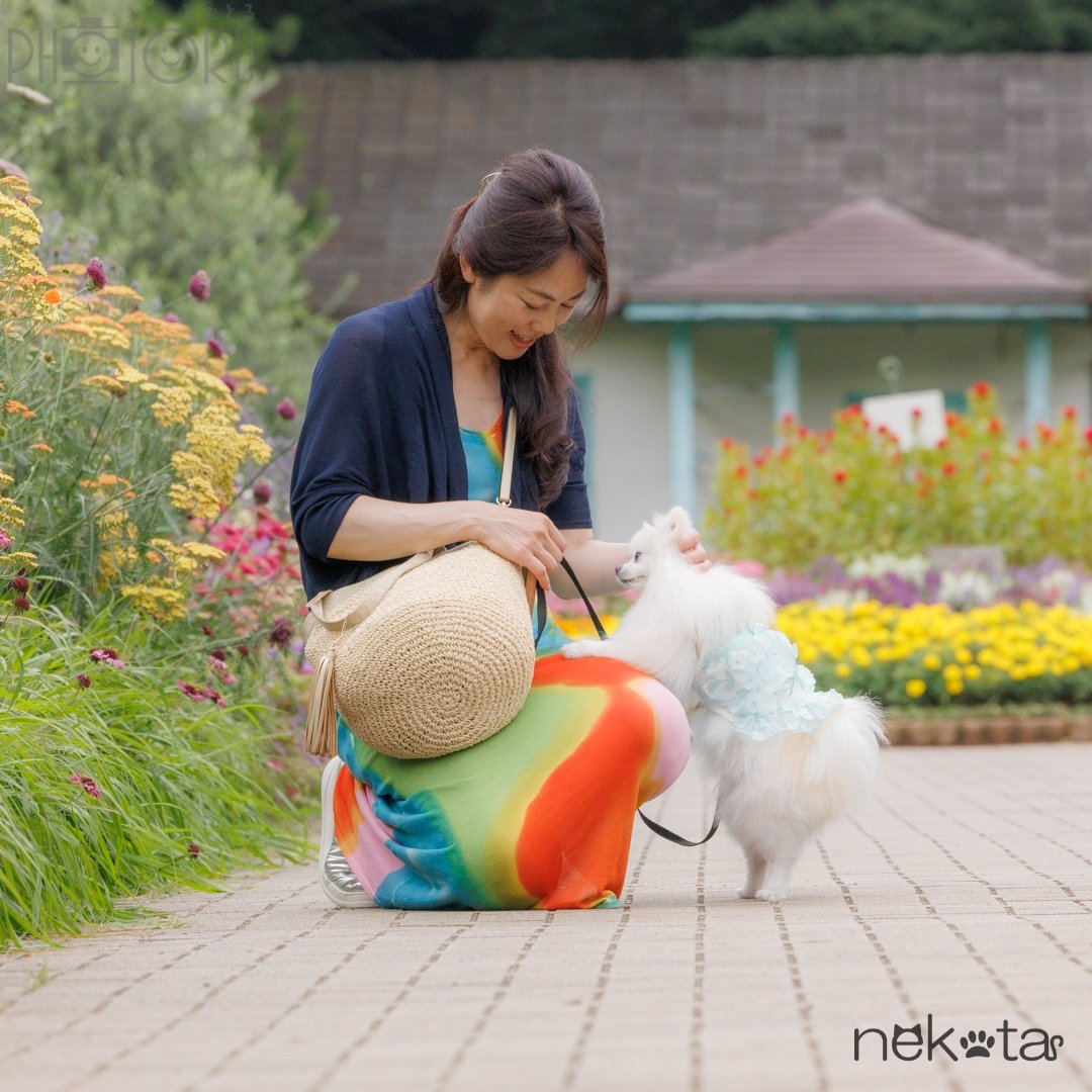 猫田晃広 English OKのポートフォリオ5