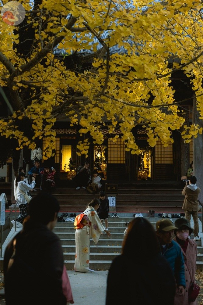 Shuhのポートフォリオ3