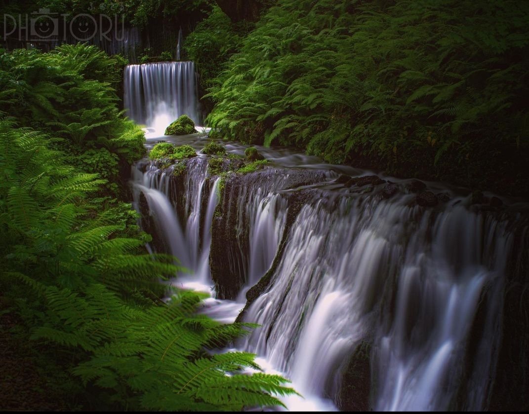 ゆげのんのポートフォリオ1