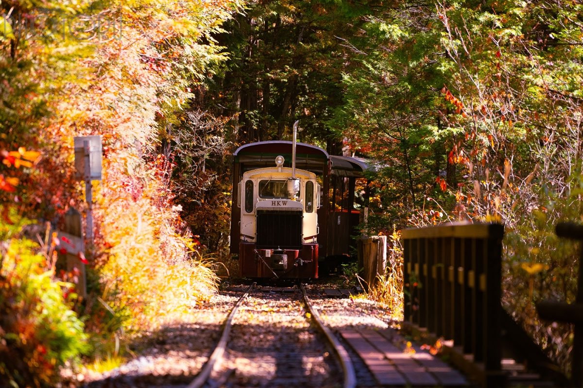 tomonari takeuchiのポートフォリオ8