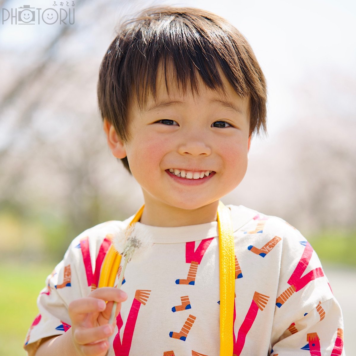 こうち旅人 代表 宮口のポートフォリオ8