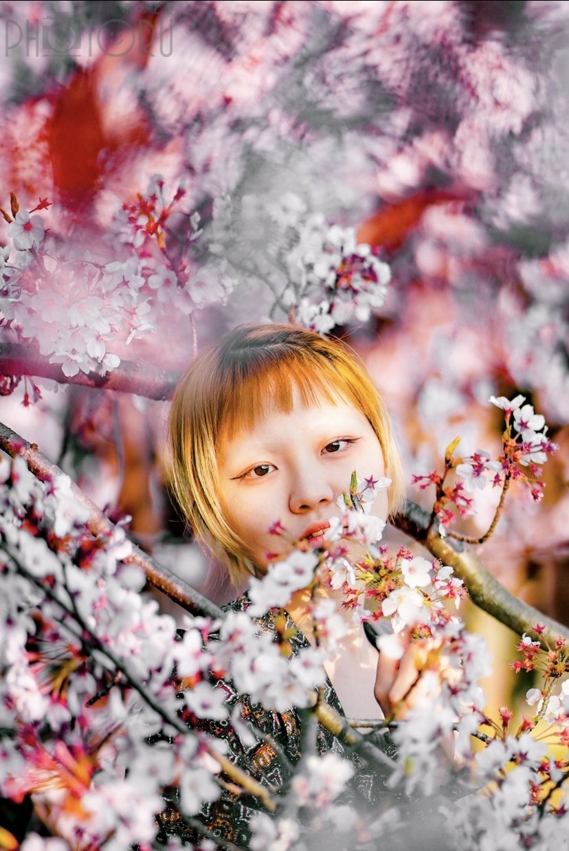 フクモト レイヤのポートフォリオ6