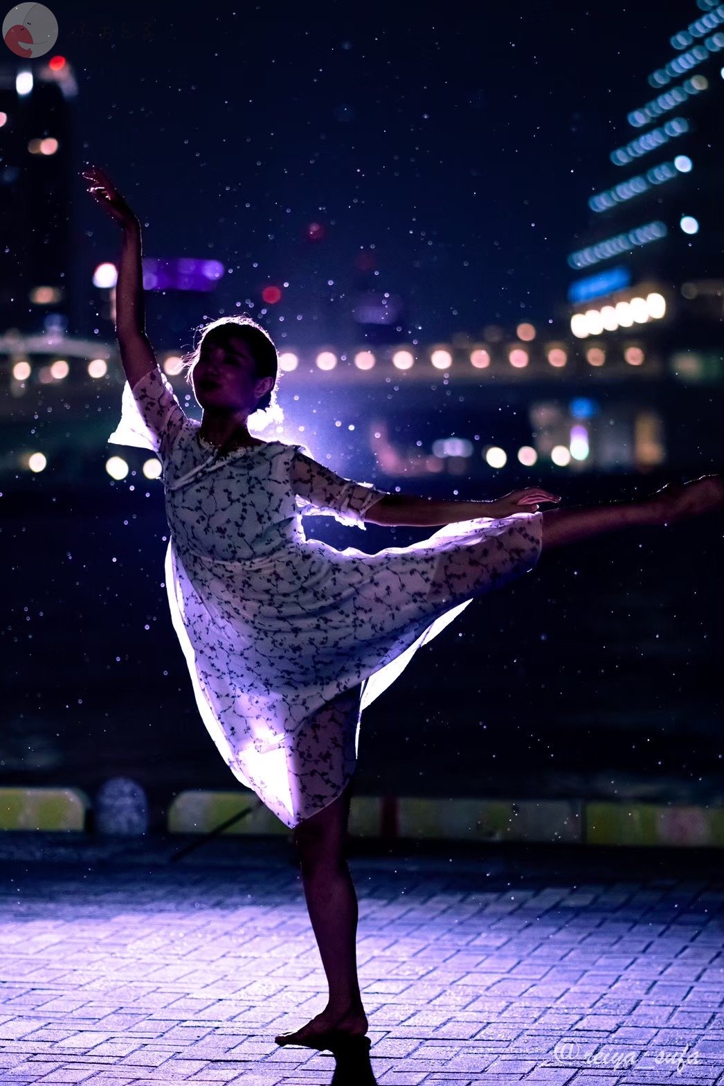 フクモト レイヤのポートフォリオ8