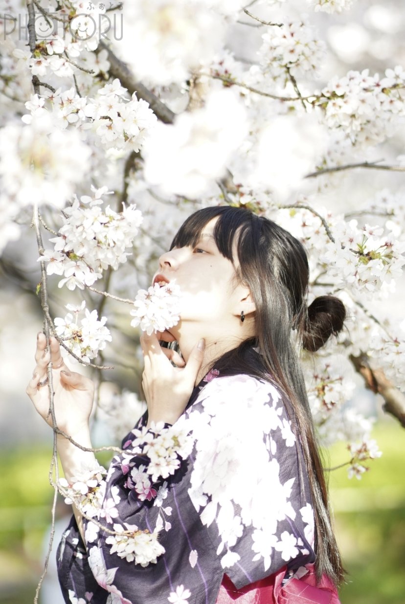 フクモト レイヤのポートフォリオ9