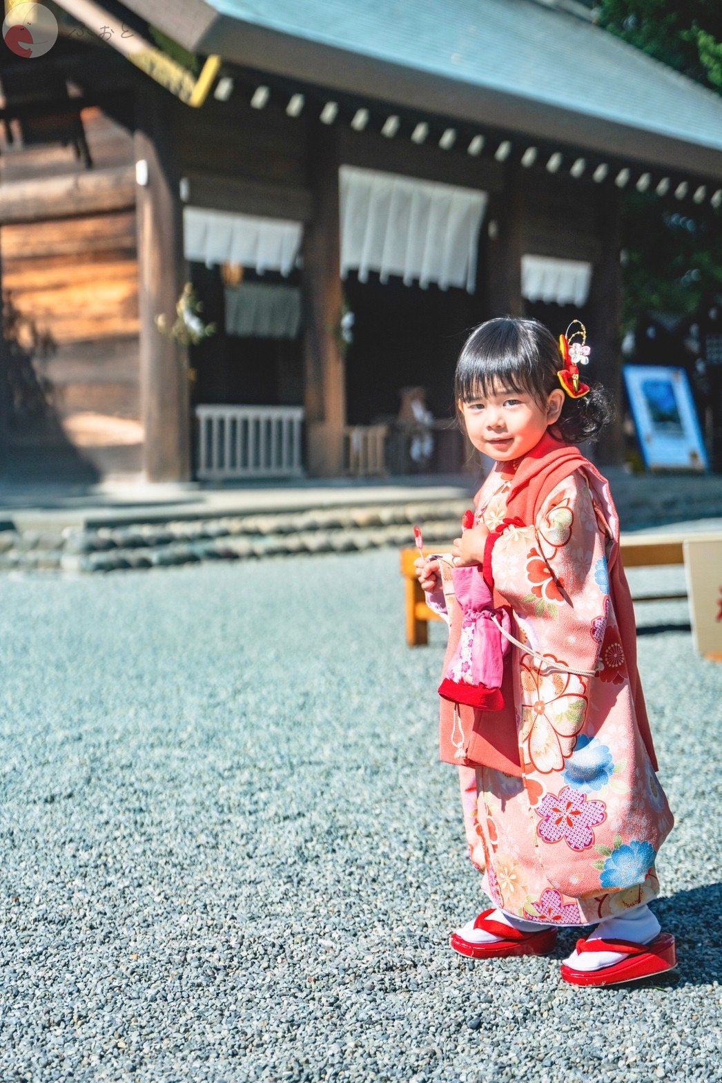 SYU91のポートフォリオ5