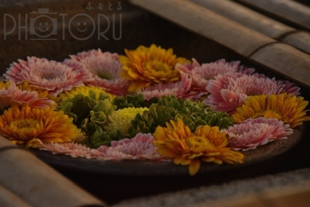 RYOMAのポートフォリオ4