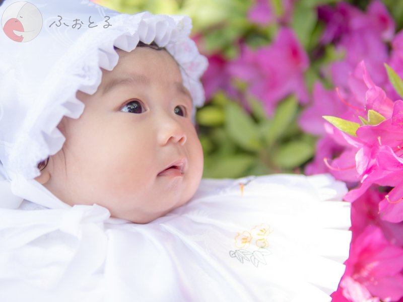 BJ Design Boxのポートフォリオ6