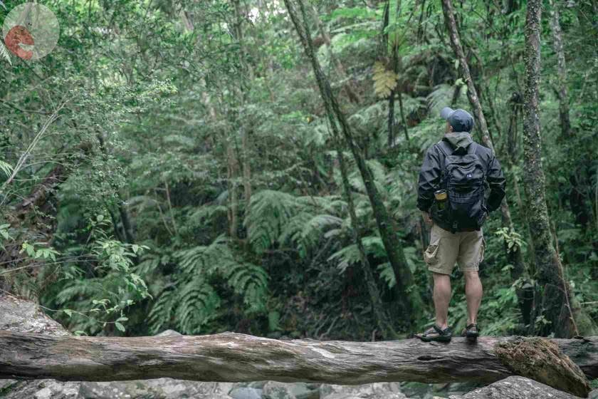 よっしー(土日不可)のポートフォリオ0