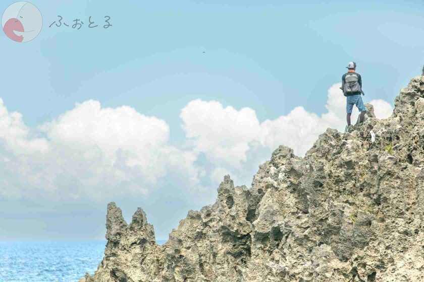 よっしー(土日不可)のポートフォリオ1