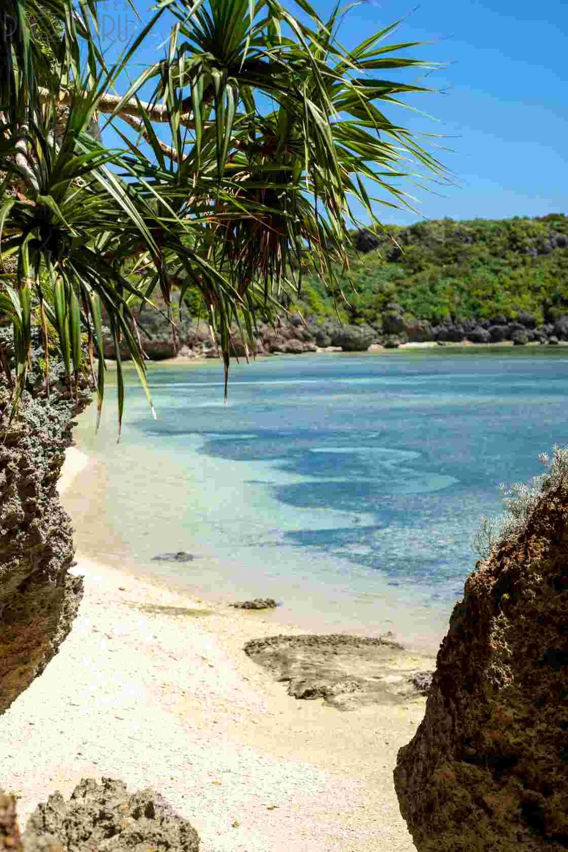 よっしー(土日不可)のポートフォリオ9