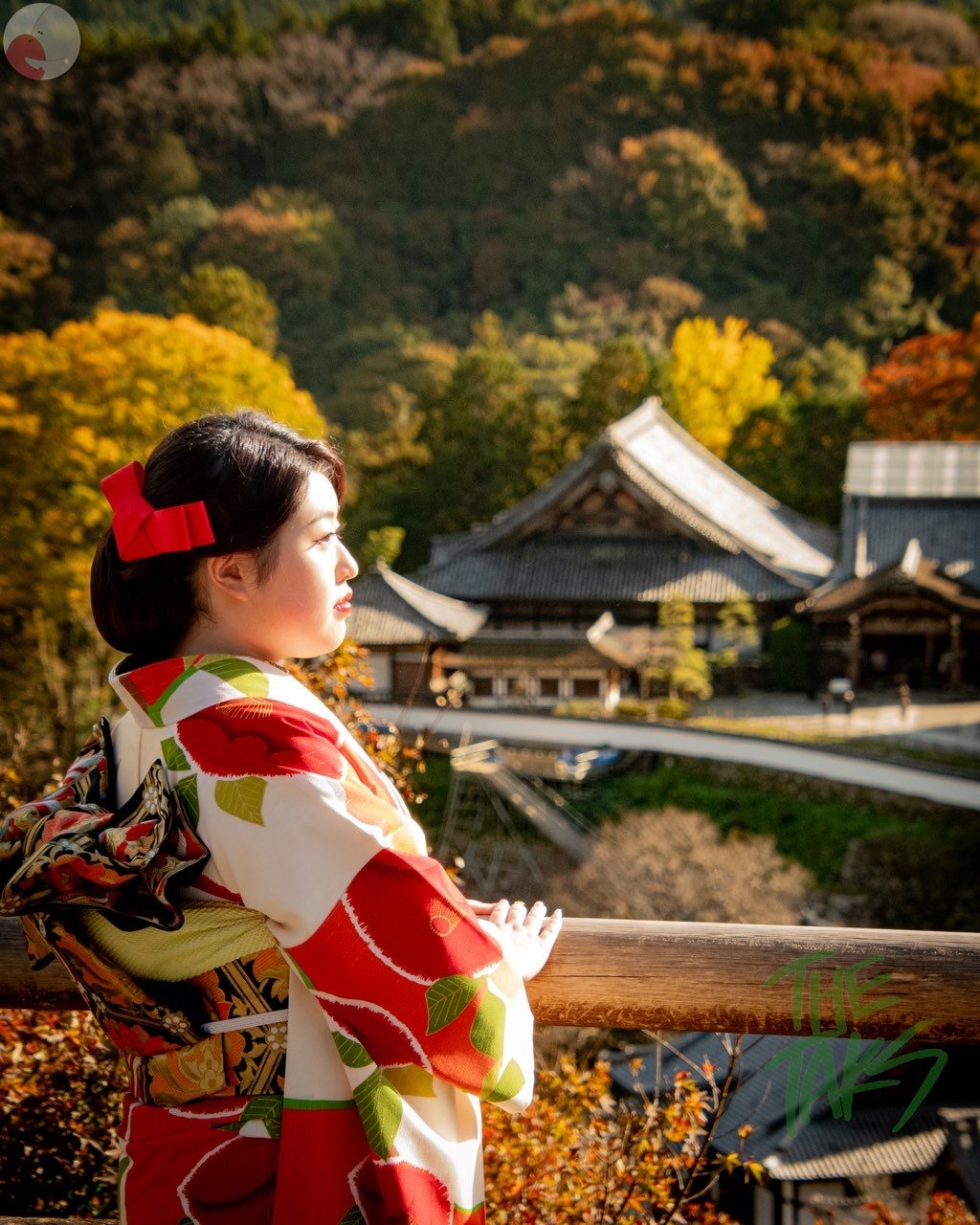 TARBOのポートフォリオ2