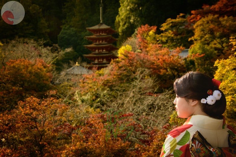 TARBOのポートフォリオ7