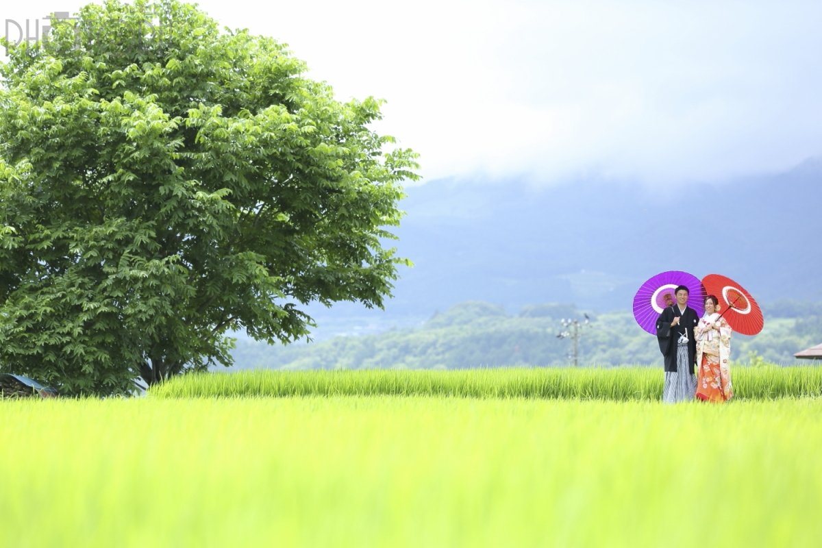 武田　渉　(papa)のポートフォリオ2