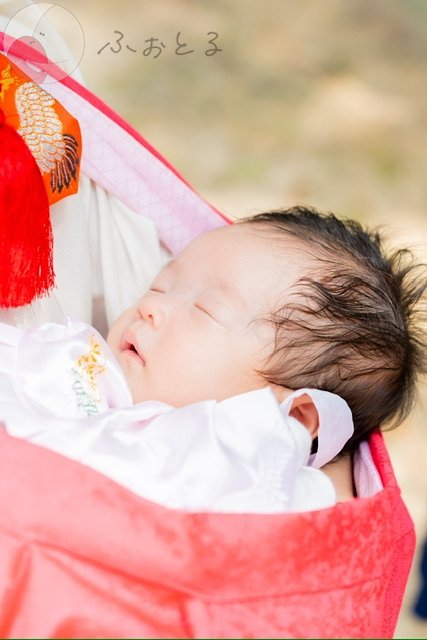 HARIのポートフォリオ8