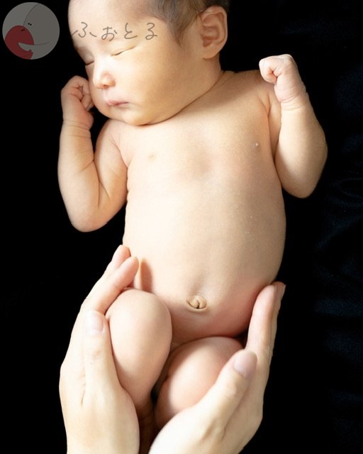 HARIのポートフォリオ0