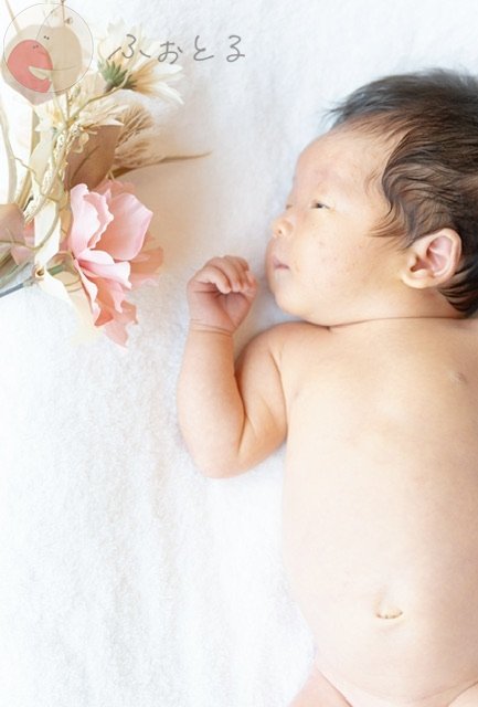 HARIのポートフォリオ2