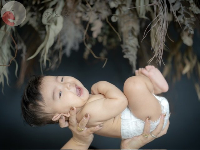 HARIのポートフォリオ2