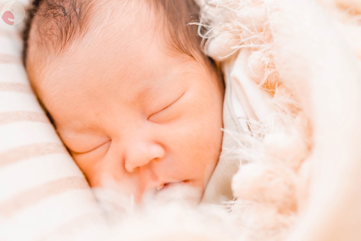 大川 耀紫のポートフォリオ0