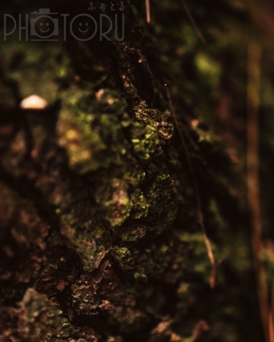 風人のポートフォリオ3