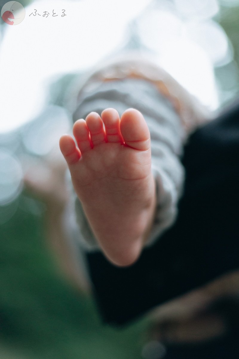 岸波ディのポートフォリオ2