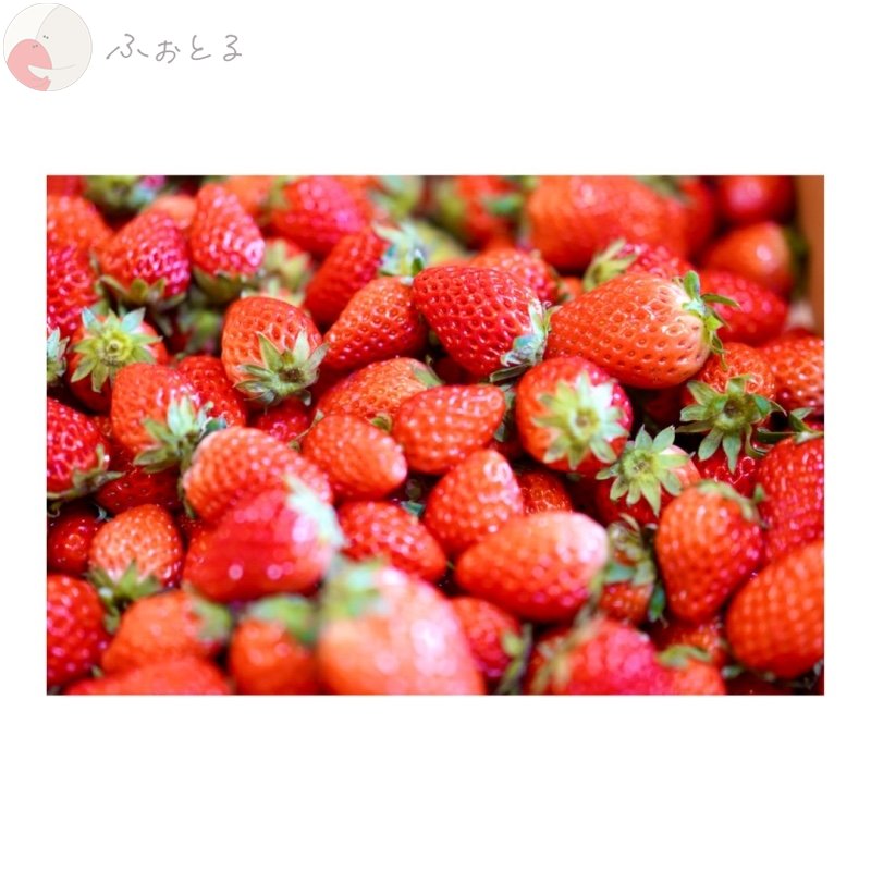 Hirokiのポートフォリオ4