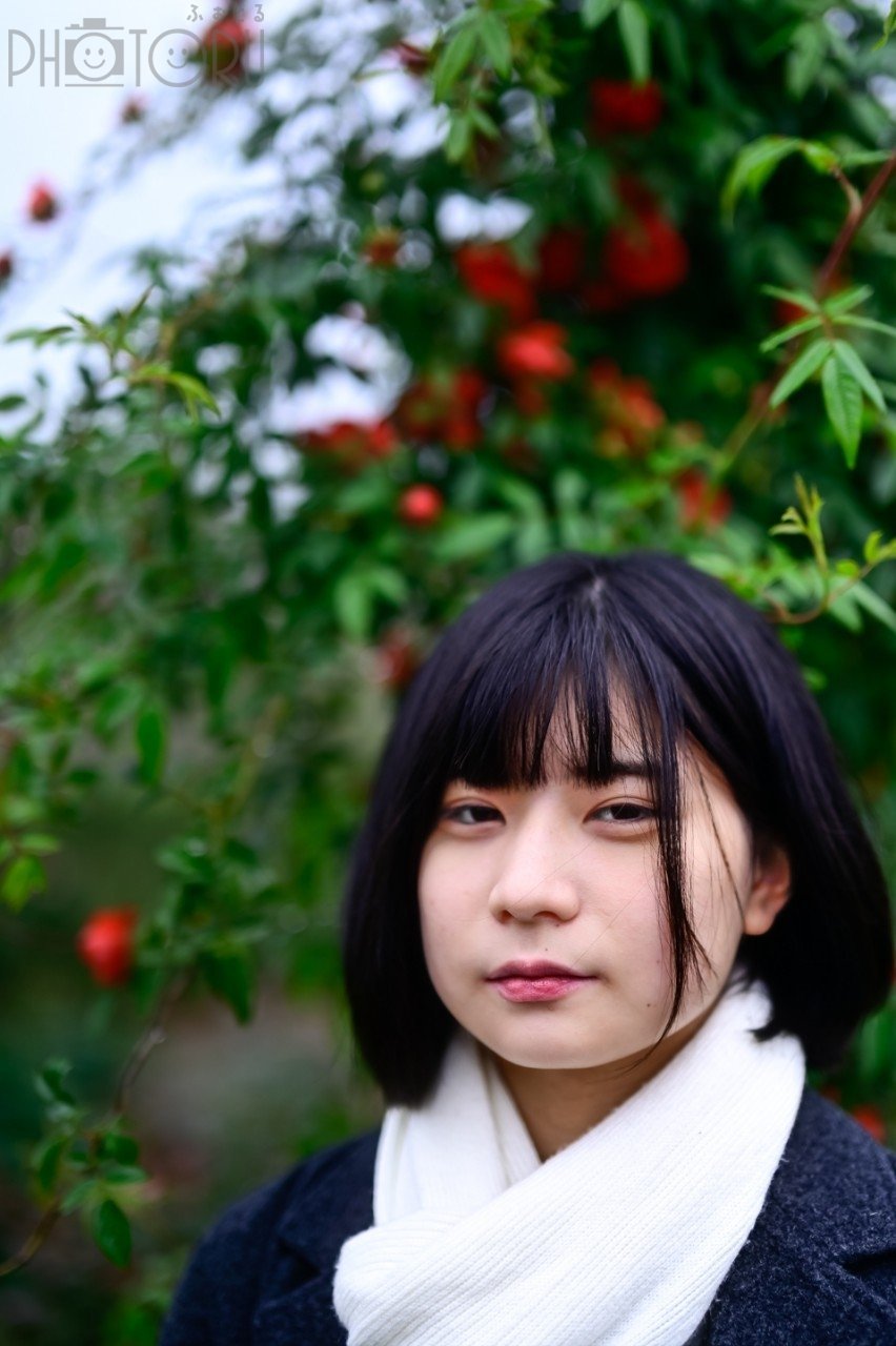 藤田のポートフォリオ5