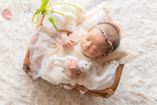 ＮＯＤＯＫAのポートフォリオ9