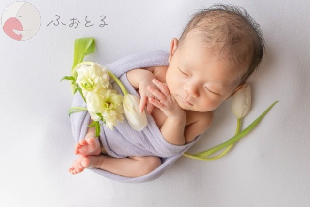 ＮＯＤＯＫAのポートフォリオ0