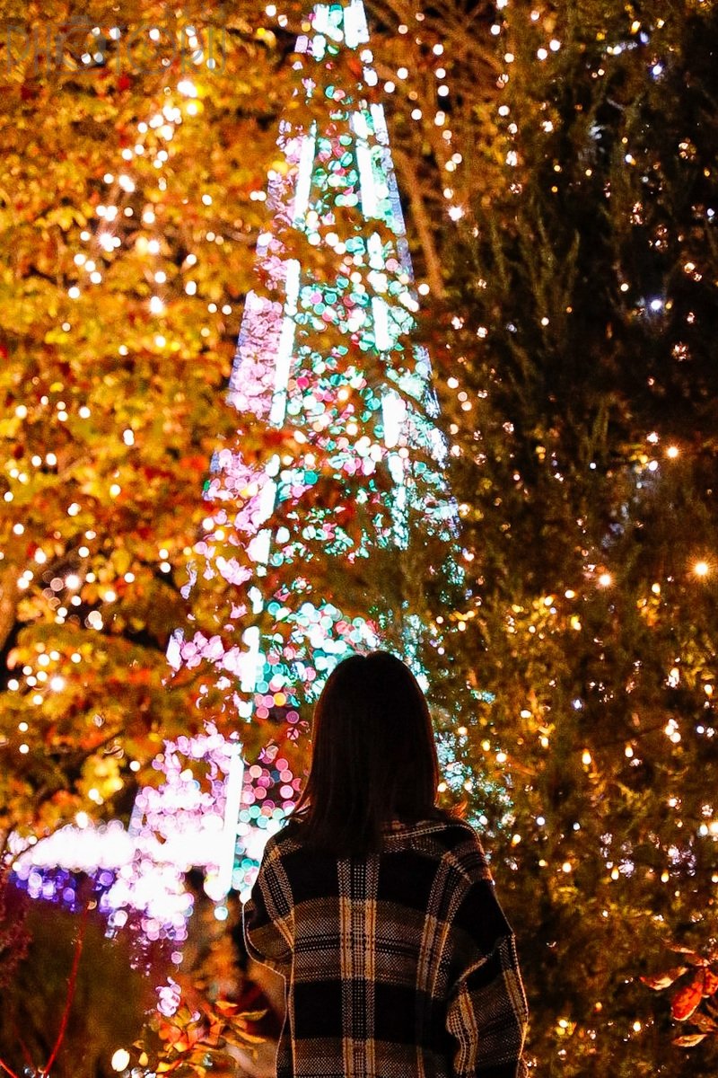 とものポートフォリオ1