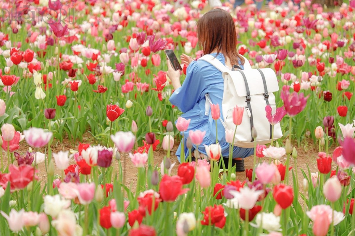 とものポートフォリオ3