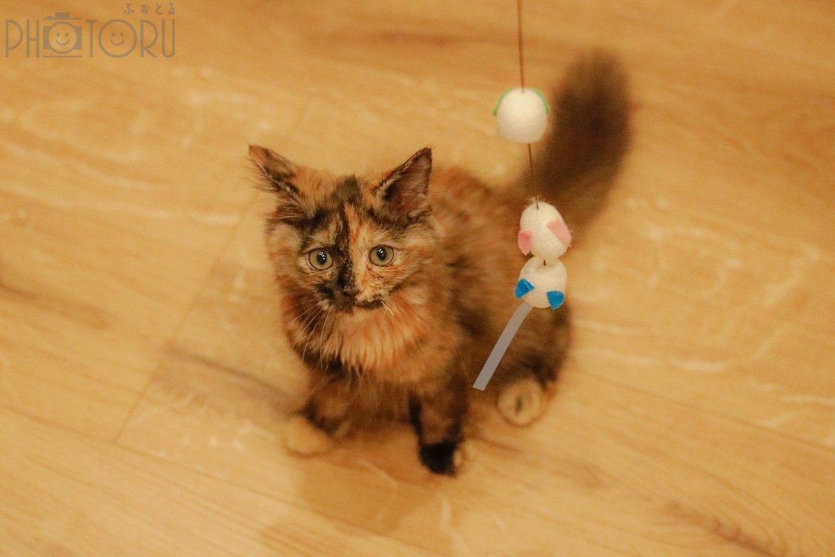 とものポートフォリオ7