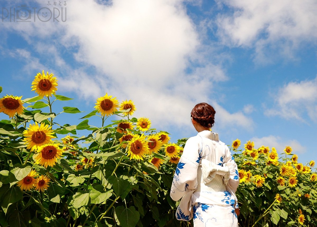 とものポートフォリオ8