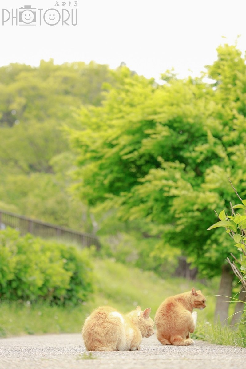 とものポートフォリオ1