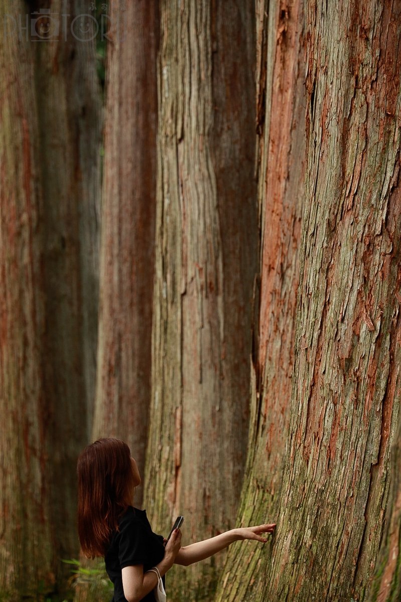 とものポートフォリオ5